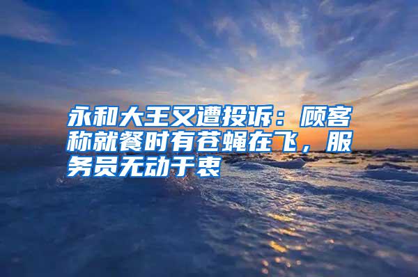 永和大王又遭投訴：顧客稱就餐時有蒼蠅在飛，服務員無動于衷