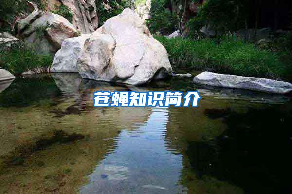 蒼蠅知識(shí)簡(jiǎn)介