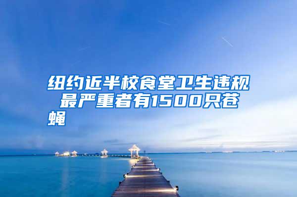 紐約近半校食堂衛(wèi)生違規(guī) 最嚴(yán)重者有1500只蒼蠅