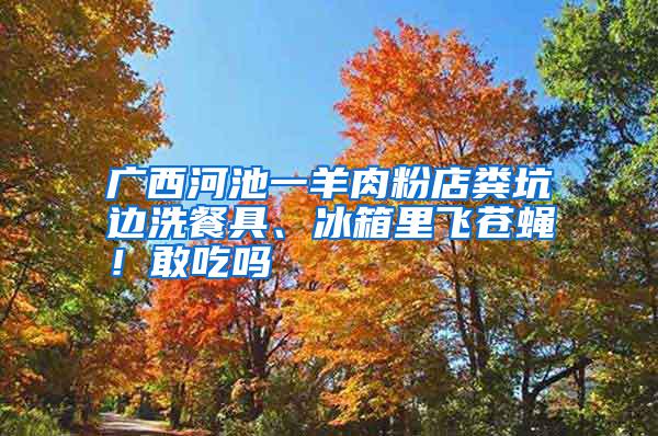 廣西河池一羊肉粉店糞坑邊洗餐具、冰箱里飛蒼蠅！敢吃嗎