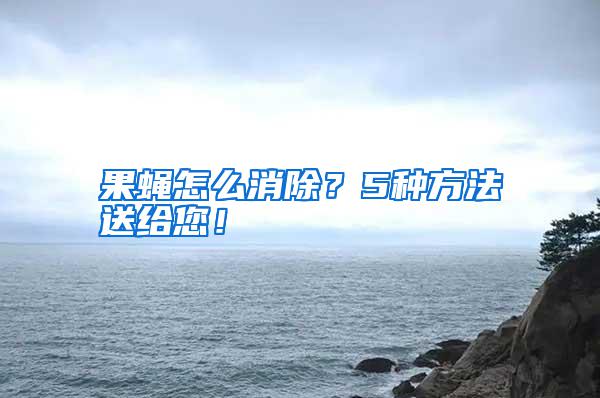 果蠅怎么消除？5種方法送給您！