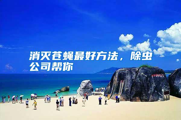 消滅蒼蠅最好方法，除蟲公司幫你