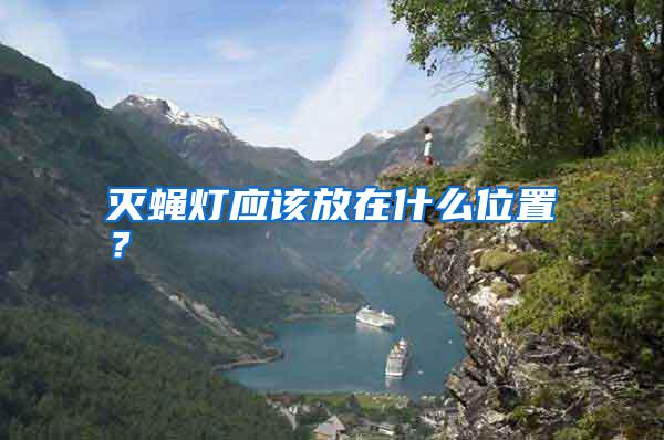 滅蠅燈應該放在什么位置？