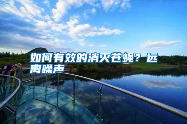 如何有效的消滅蒼蠅？遠(yuǎn)離噪聲