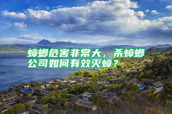 蟑螂危害非常大,殺蟑螂公司如何有效滅蟑?