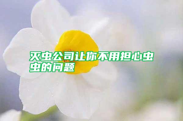 滅蟲公司讓你不用擔(dān)心蟲蟲的問題
