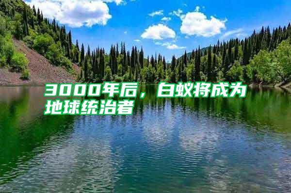 3000年后,白蟻將成為地球統(tǒng)治者