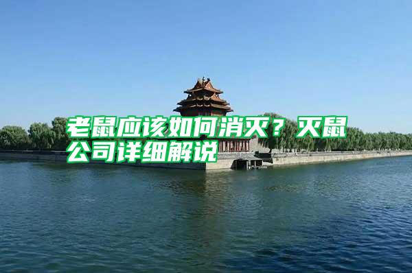 老鼠應該如何消滅?滅鼠公司詳細解說