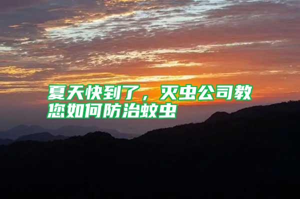 夏天快到了，滅蟲公司教您如何防治蚊蟲