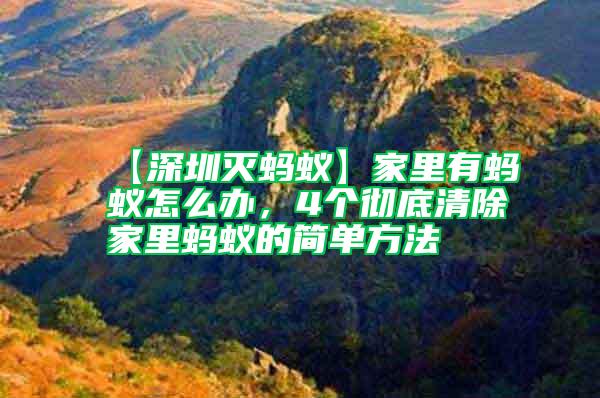 【深圳滅螞蟻】家里有螞蟻怎么辦，4個(gè)徹底清除家里螞蟻的簡(jiǎn)單方法