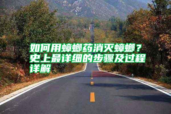 如何用蟑螂藥消滅蟑螂？史上最詳細的步驟及過程詳解