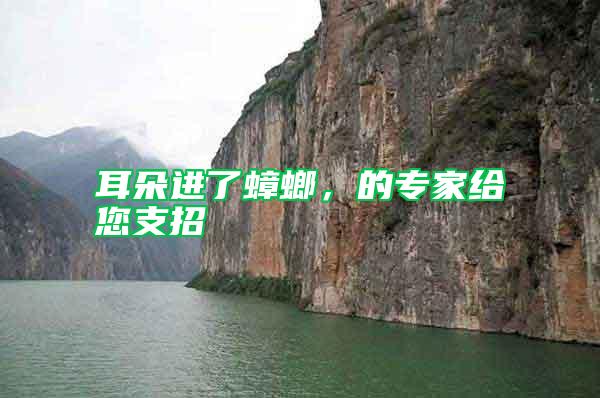 耳朵進了蟑螂，的專家給您支招