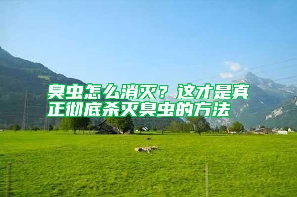 臭蟲怎么消滅？這才是真正徹底殺滅臭蟲的方法