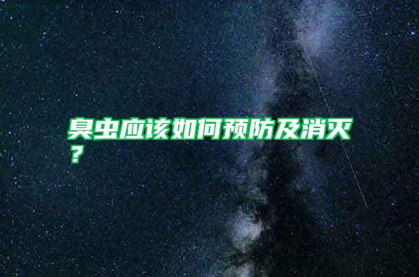 臭蟲應(yīng)該如何預(yù)防及消滅？