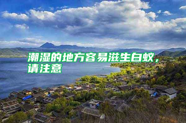 潮濕的地方容易滋生白蟻,請(qǐng)注意