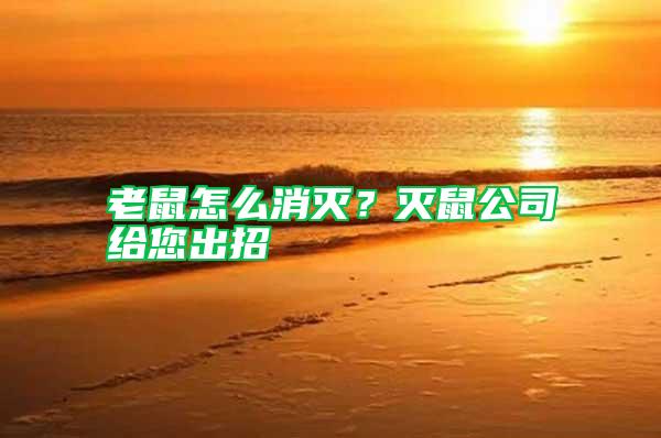 老鼠怎么消滅?滅鼠公司給您出招