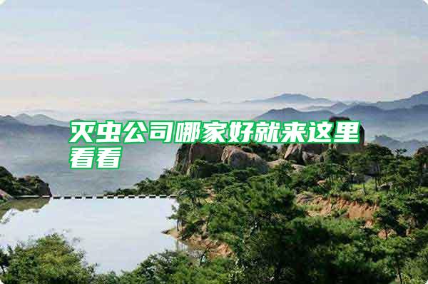 滅蟲公司哪家好就來這里看看