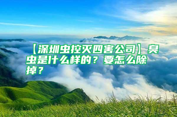 【深圳蟲控滅四害公司】臭蟲是什么樣的？要怎么除掉？