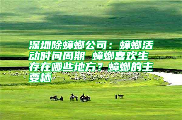 深圳除蟑螂公司:蟑螂活動時間周期 蟑螂喜歡生存在哪些地方?蟑螂的主要棲