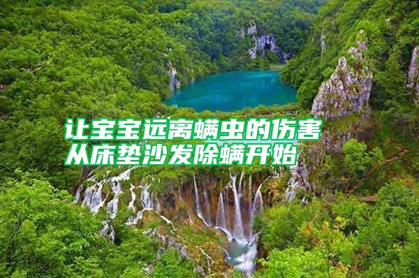 讓寶寶遠離螨蟲的傷害  從床墊沙發除螨開始