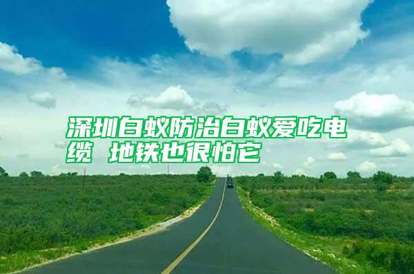 深圳白蟻防治白蟻愛吃電纜 地鐵也很怕它
