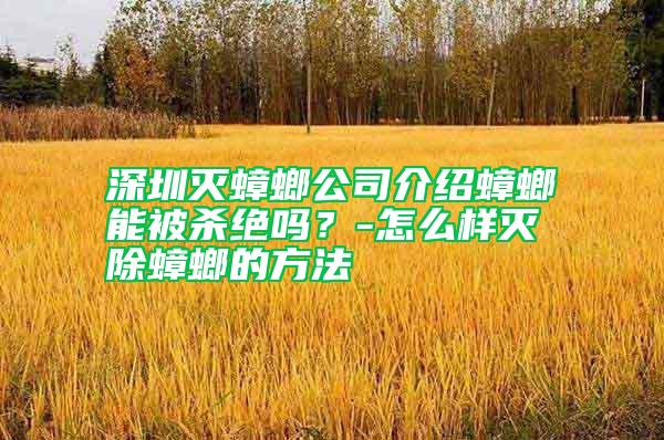 深圳滅蟑螂公司介紹蟑螂能被殺絕嗎?-怎么樣滅除蟑螂的方法