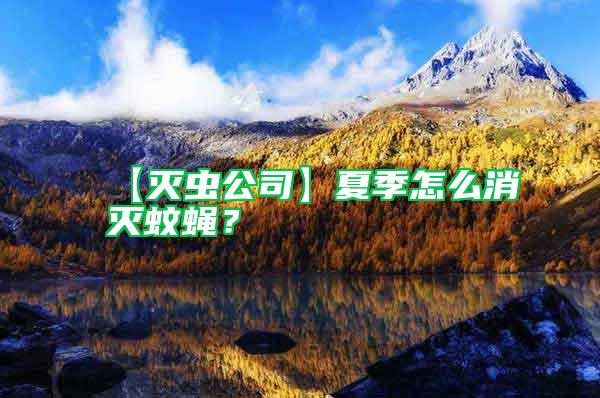 【滅蟲公司】夏季怎么消滅蚊蠅?