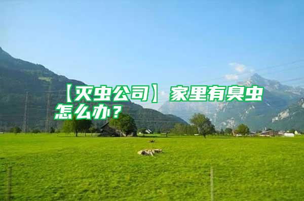 【滅蟲公司】家里有臭蟲怎么辦?