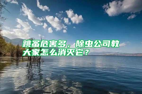 跳蚤危害多，除蟲公司教大家怎么消滅它？