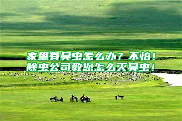 家里有臭蟲怎么辦？不怕！除蟲公司教您怎么滅臭蟲！