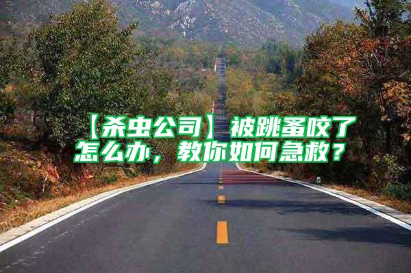 【殺蟲公司】被跳蚤咬了怎么辦，教你如何急救？