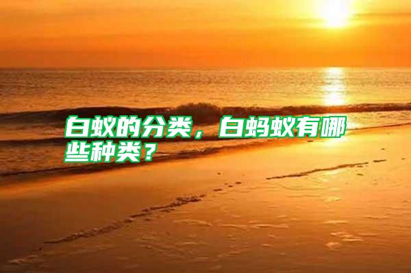 白蟻的分類，白螞蟻有哪些種類？