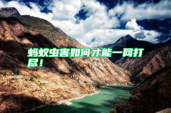 螞蟻蟲害如何才能一網(wǎng)打盡!
