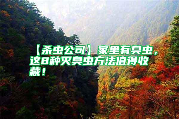 【殺蟲公司】家里有臭蟲，這8種滅臭蟲方法值得收藏！