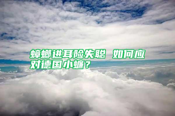 蟑螂進(jìn)耳險(xiǎn)失聰 如何應(yīng)對(duì)德國(guó)小蠊？