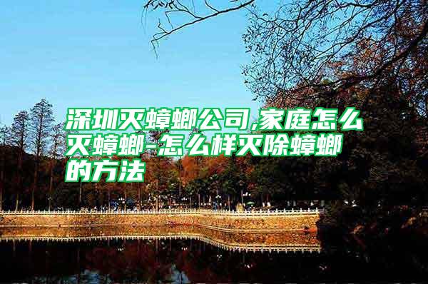 深圳滅蟑螂公司,家庭怎么滅蟑螂-怎么樣滅除蟑螂的方法