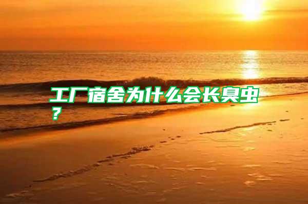 工廠宿舍為什么會長臭蟲？