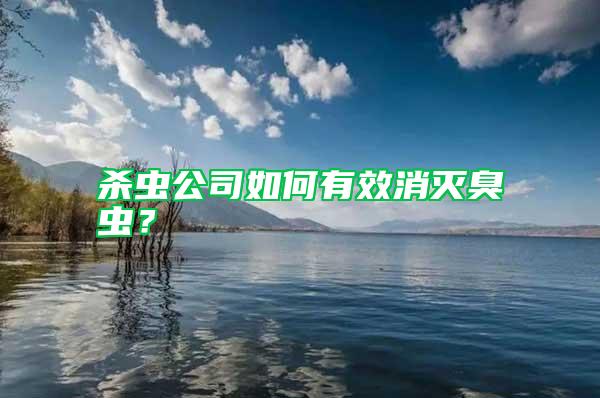 殺蟲公司如何有效消滅臭蟲？