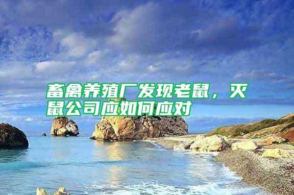 畜禽養殖廠發現老鼠，滅鼠公司應如何應對