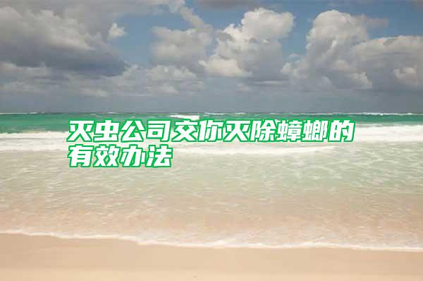 滅蟲公司交你滅除蟑螂的有效辦法