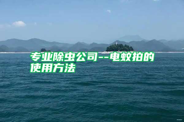 專業除蟲公司--電蚊拍的使用方法