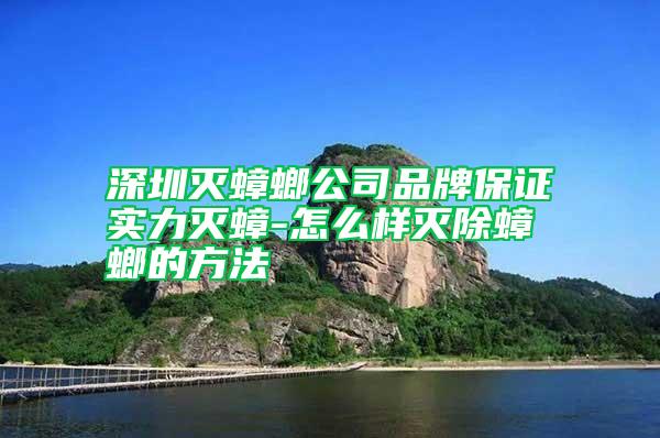 深圳滅蟑螂公司品牌保證實(shí)力滅蟑-怎么樣滅除蟑螂的方法