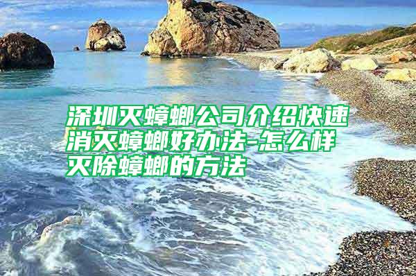 深圳滅蟑螂公司介紹快速消滅蟑螂好辦法-怎么樣滅除蟑螂的方法