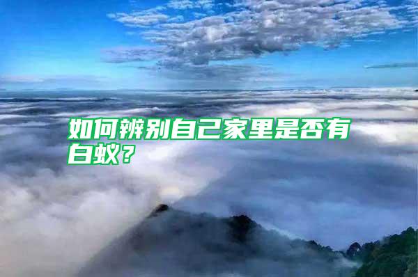 如何辨別自己家里是否有白蟻？