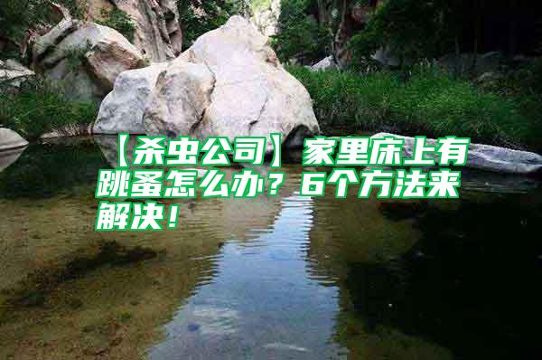 【殺蟲公司】家里床上有跳蚤怎么辦？6個(gè)方法來解決！