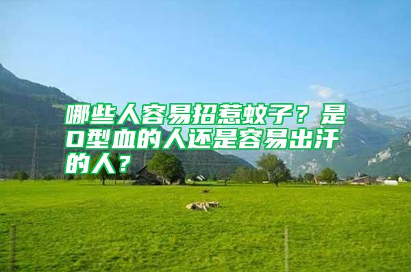 哪些人容易招惹蚊子？是O型血的人還是容易出汗的人？