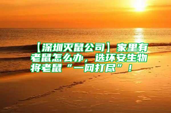 【深圳滅鼠公司】家里有老鼠怎么辦，選環安生物將老鼠“一網打盡”！