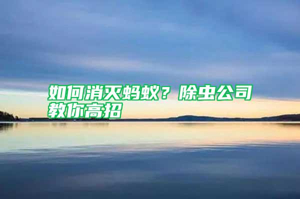 如何消滅螞蟻？除蟲公司教你高招