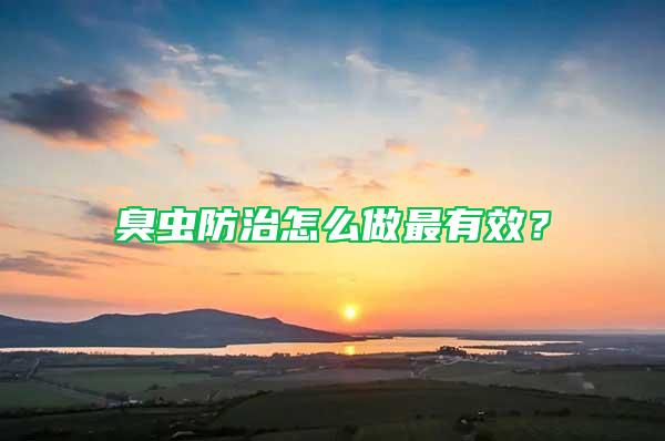 臭蟲防治怎么做最有效？