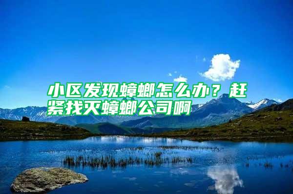 小區(qū)發(fā)現(xiàn)蟑螂怎么辦？趕緊找滅蟑螂公司啊